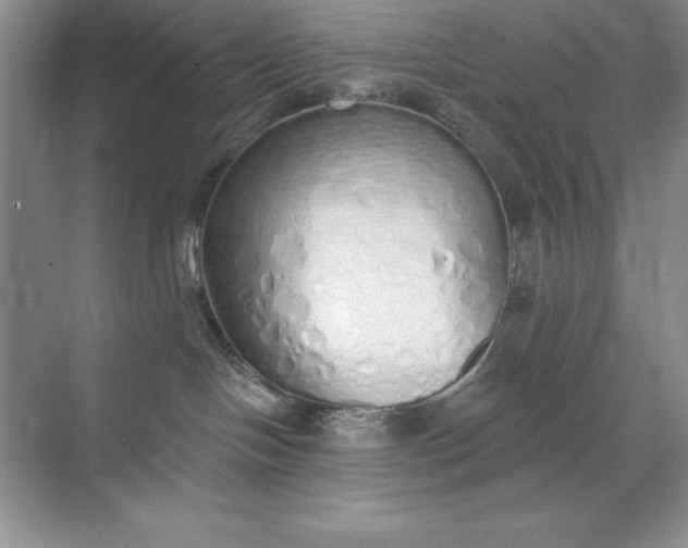 X0000071940094200607212212