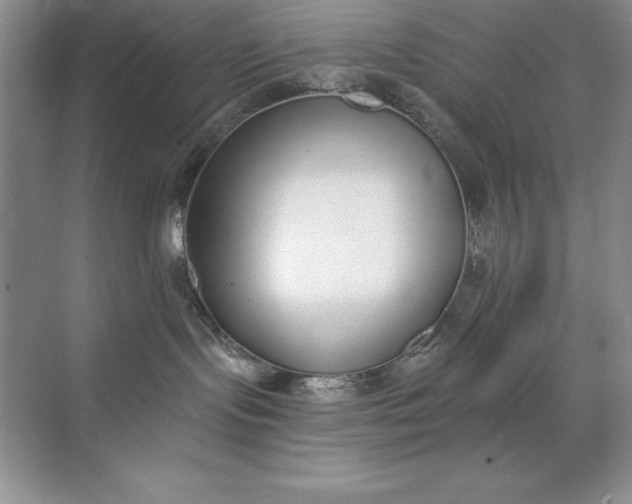 X0000071940095200607212212