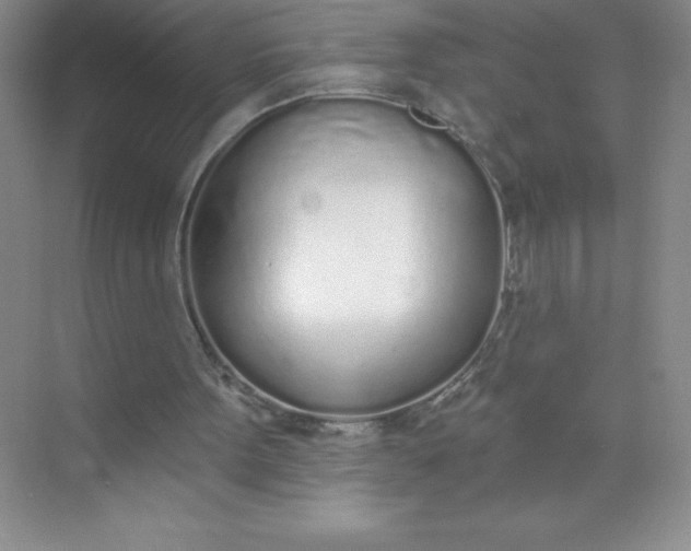 X0000071940099200607212211