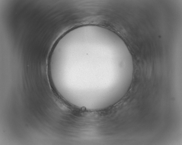 X0000071940100200607212211