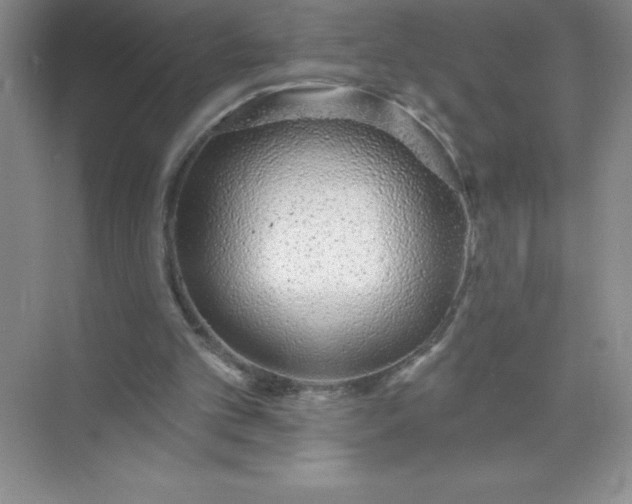 X0000071940101200607212211