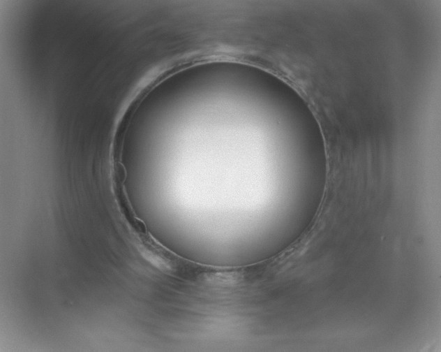 X0000071940102200607212211