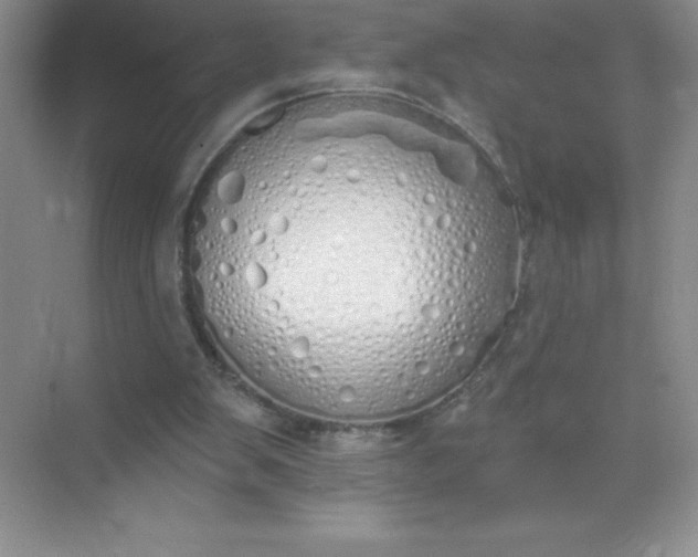 X0000071940103200607212211