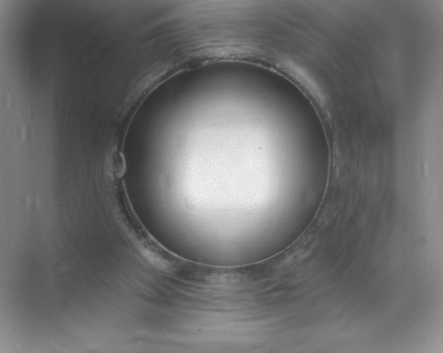 X0000071940105200607212211