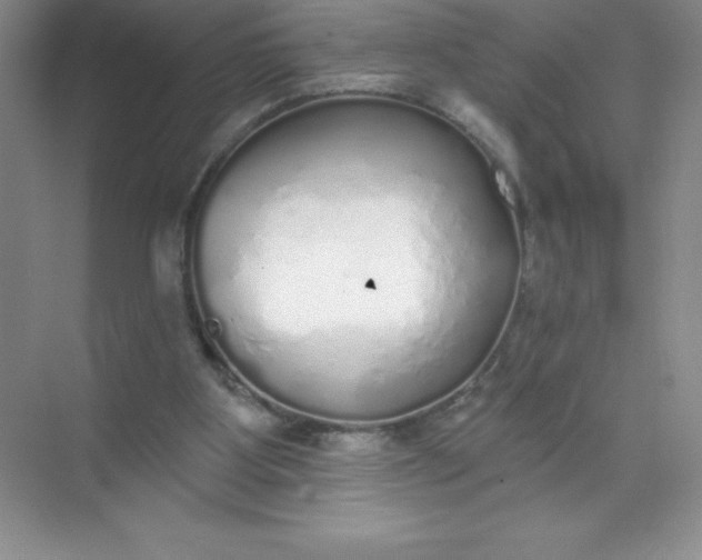 X0000071940107200607212211