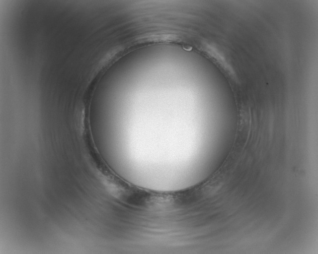 X0000071940110200607212211