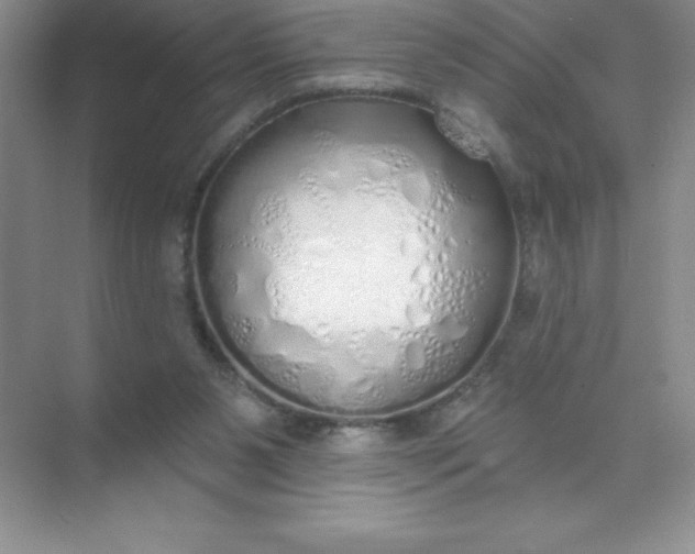 X0000071940111200607212211