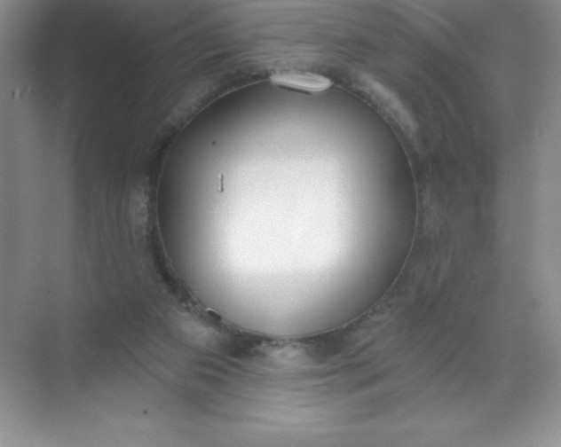 X0000071940113200607212211