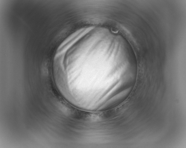 X0000071940114200607212211