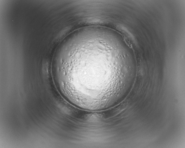 X0000071940115200607212210