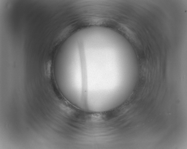 X0000071940118200607212210