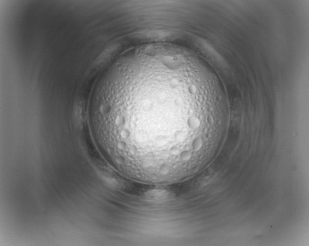 X0000071940119200607212210