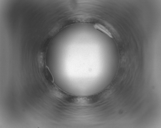 X0000071940121200607212210