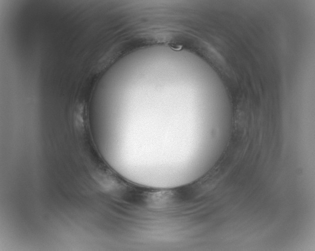 X0000071940122200607212210