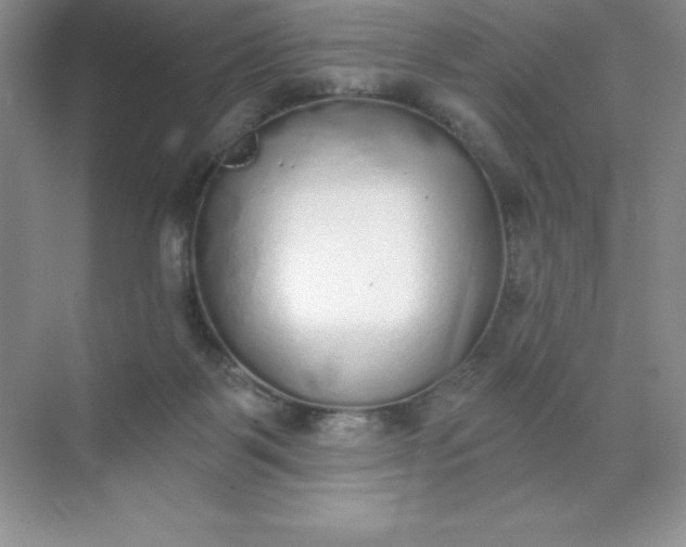 X0000071940123200607212210