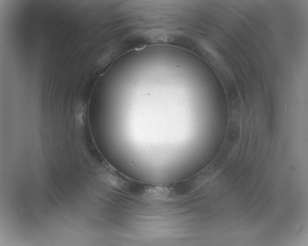 X0000071940125200607212210