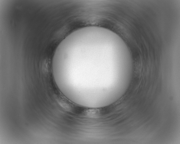 X0000071940126200607212210