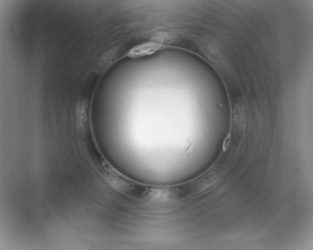 X0000071940127200607212210