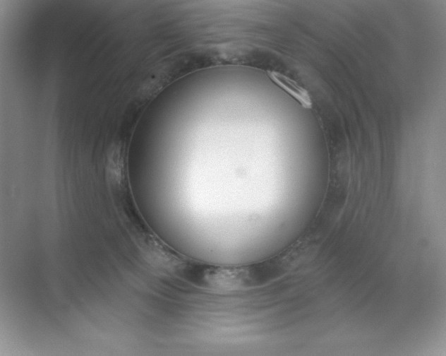 X0000071940129200607212210