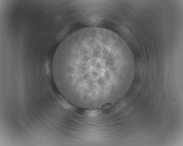 X0000071940131200607212210