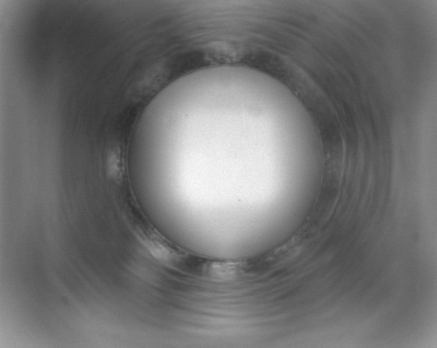 X0000071940134200607212210