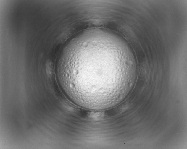 X0000071940135200607212210