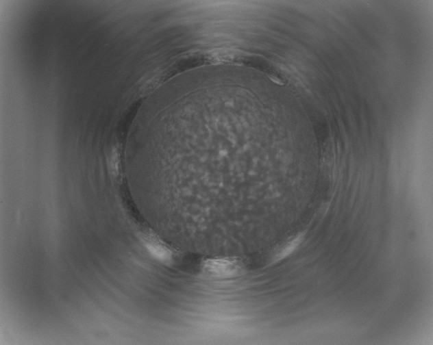 X0000071940139200607212210