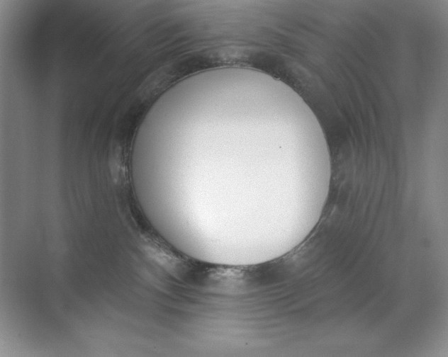 X0000071940140200607212210