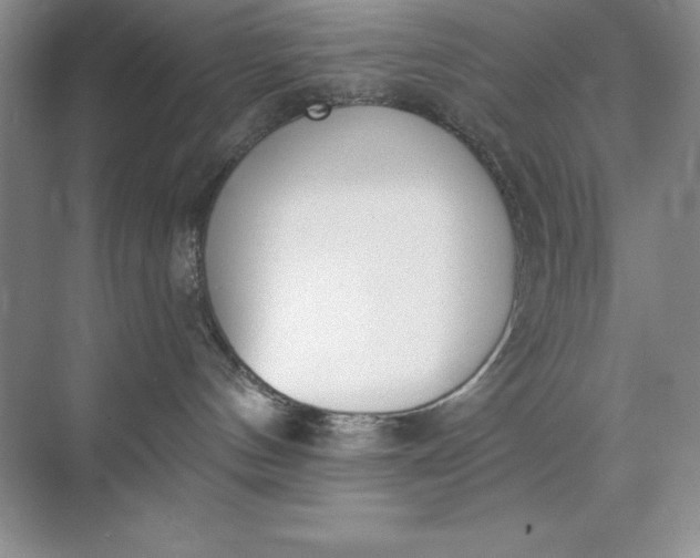 X0000071940144200607212210