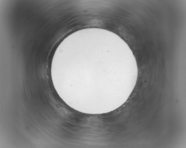 X0000071940146200607212209