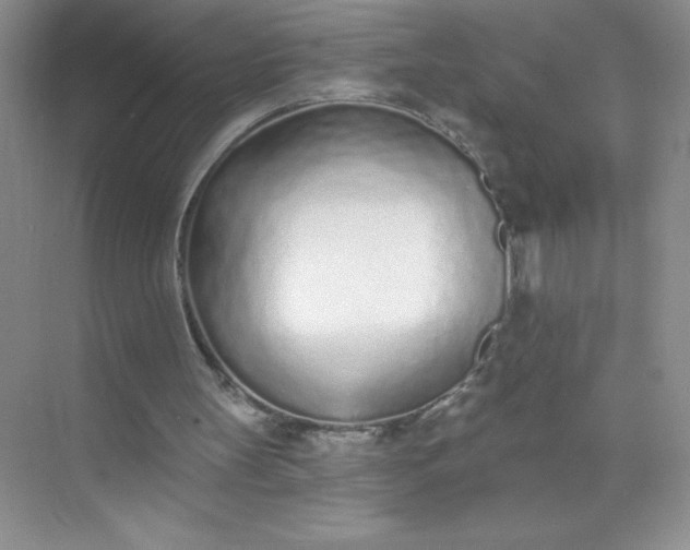 X0000071940147200607212209