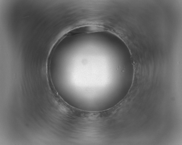 X0000071940148200607212209