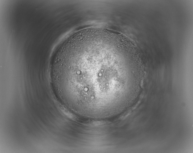 X0000071940149200607212209