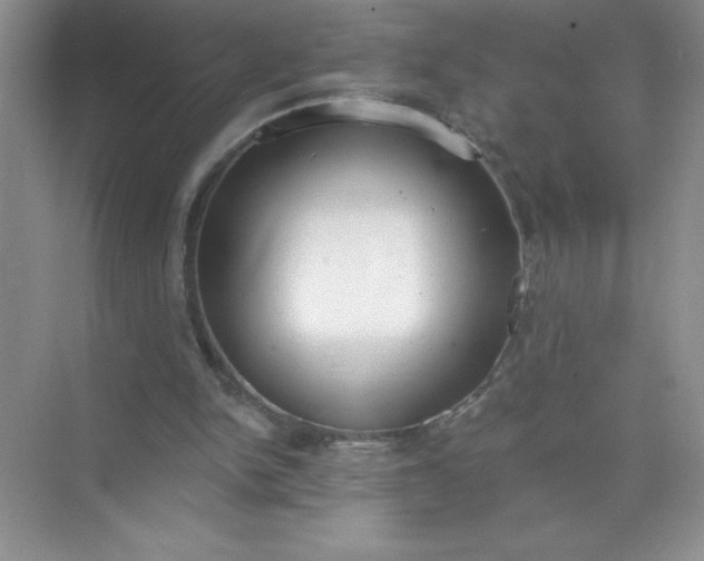 X0000071940150200607212209