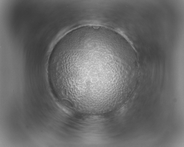 X0000071940151200607212209