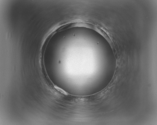 X0000071940152200607212209