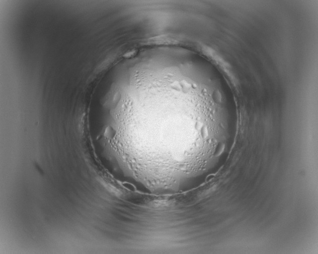 X0000071940153200607212209