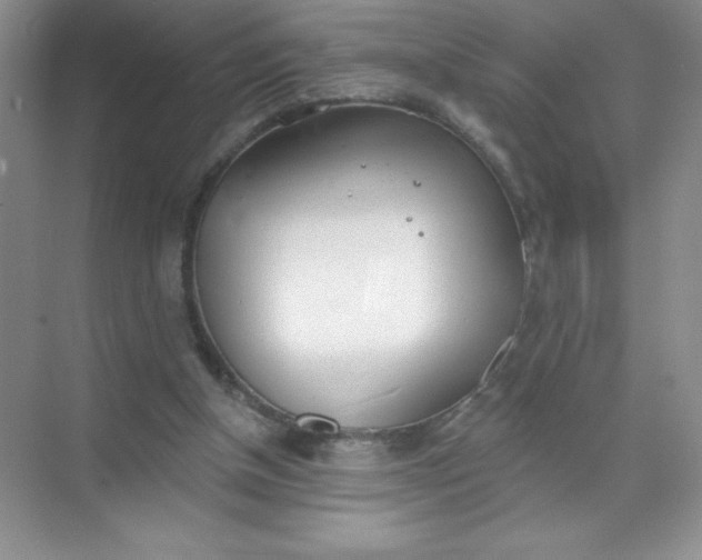 X0000071940154200607212209