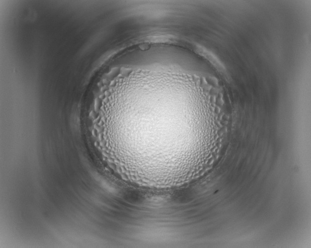 X0000071940155200607212209