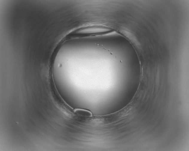 X0000071940156200607212209