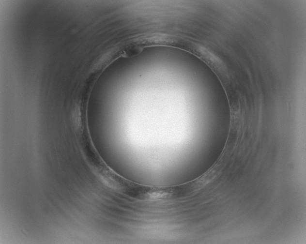 X0000071940158200607212209