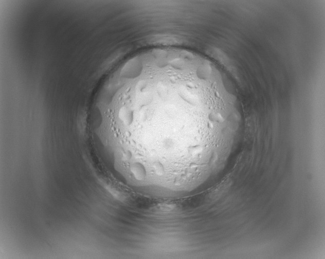 X0000071940159200607212209