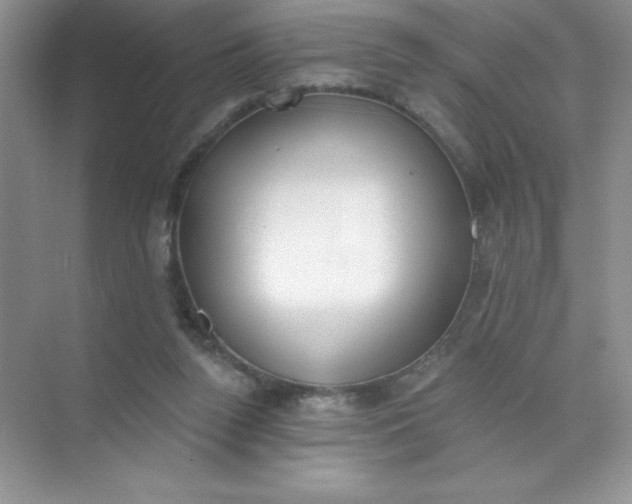 X0000071940160200607212209