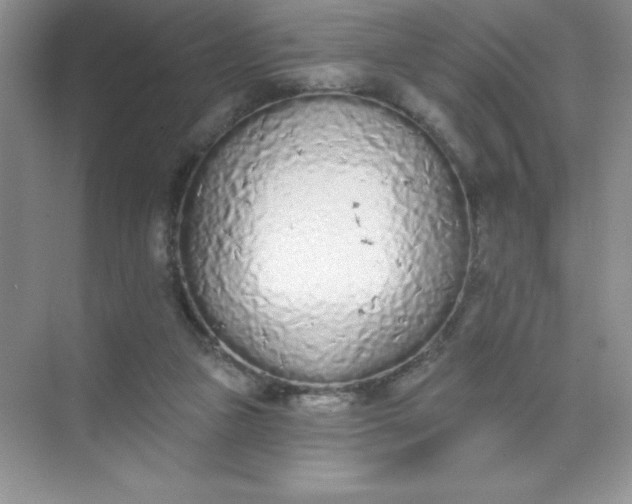 X0000071940161200607212209