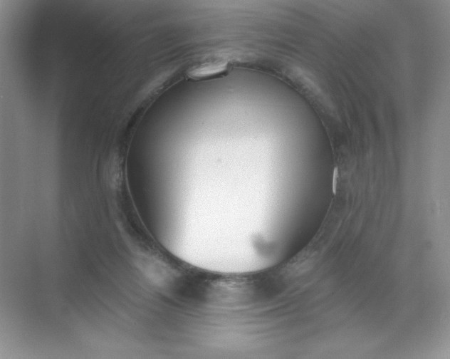 X0000071940164200607212210