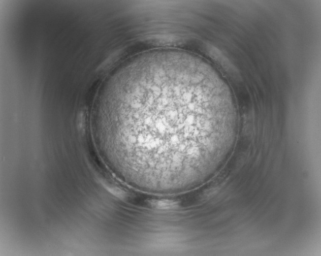 X0000071940165200607212210