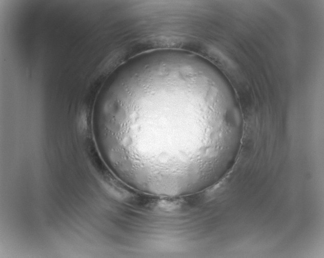 X0000071940166200607212210