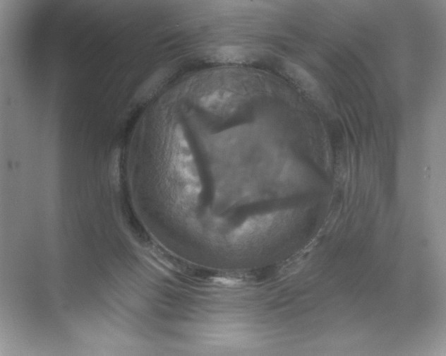 X0000071940167200607212210