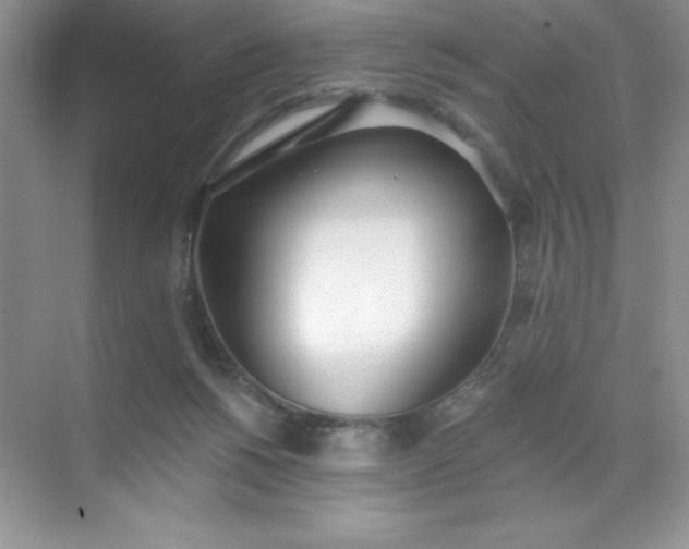 X0000071940168200607212210