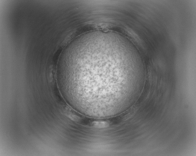 X0000071940169200607212210